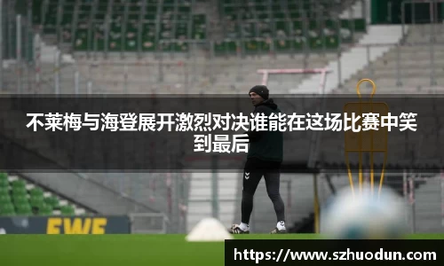 不莱梅与海登展开激烈对决谁能在这场比赛中笑到最后