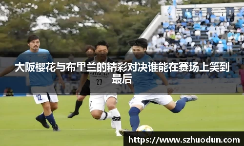 mk体育