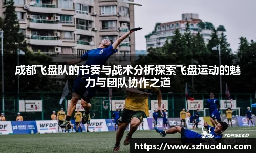 成都飞盘队的节奏与战术分析探索飞盘运动的魅力与团队协作之道