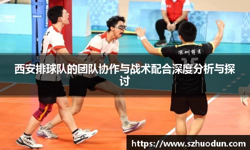西安排球队的团队协作与战术配合深度分析与探讨