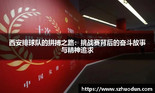 mk体育官网