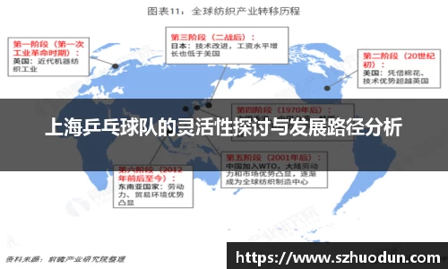 上海乒乓球队的灵活性探讨与发展路径分析
